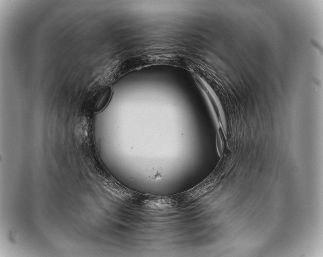 X0000096440567200802071751