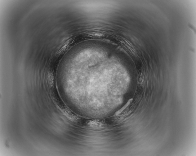 X0000096440568200802071751