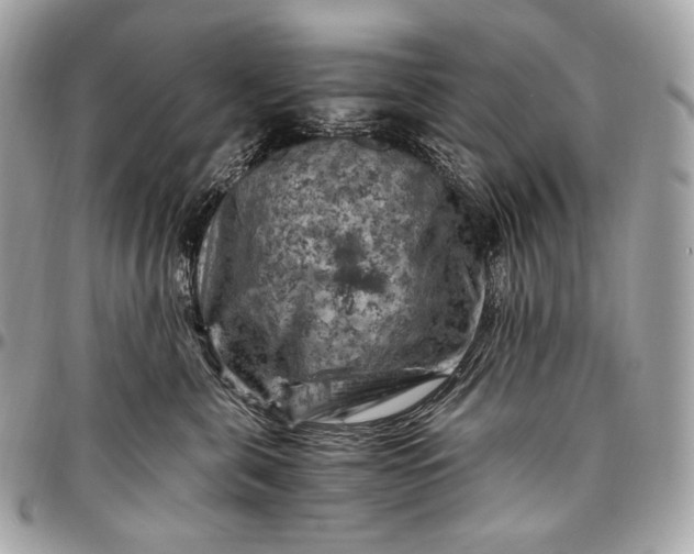 X0000096440571200802071751