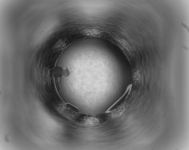 X0000096440572200802071751