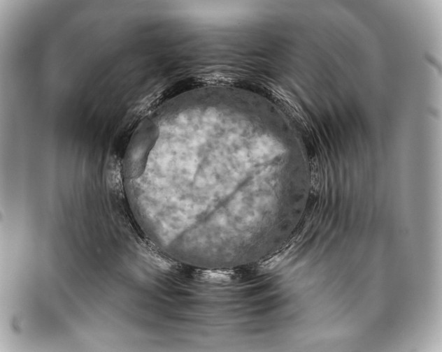 X0000096440573200802071751