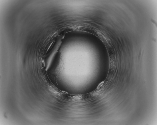 X0000096440574200802071751