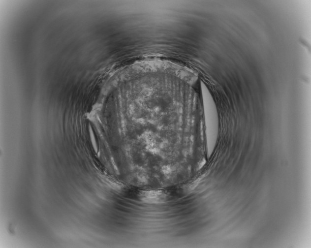 X0000096440575200802071751