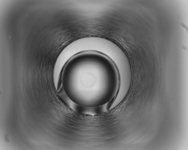 X0000096440576200802071751