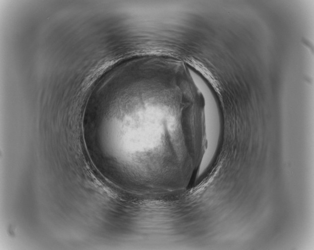 X0000096440577200802071750