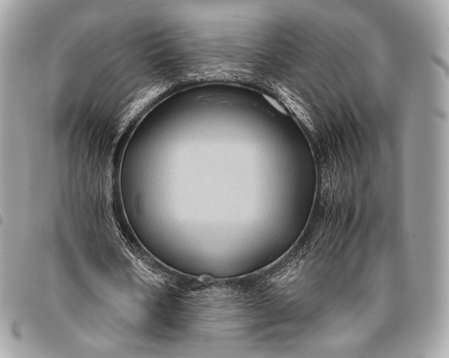 X0000096440578200802071750