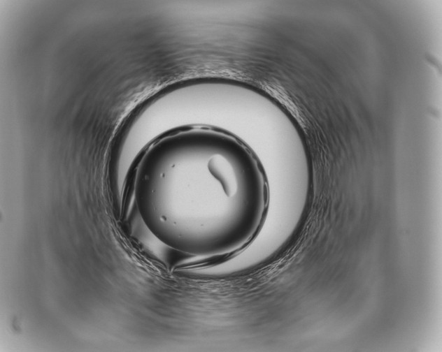 X0000096440579200802071750