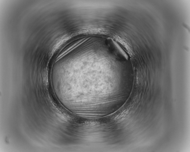 X0000096440582200802071750