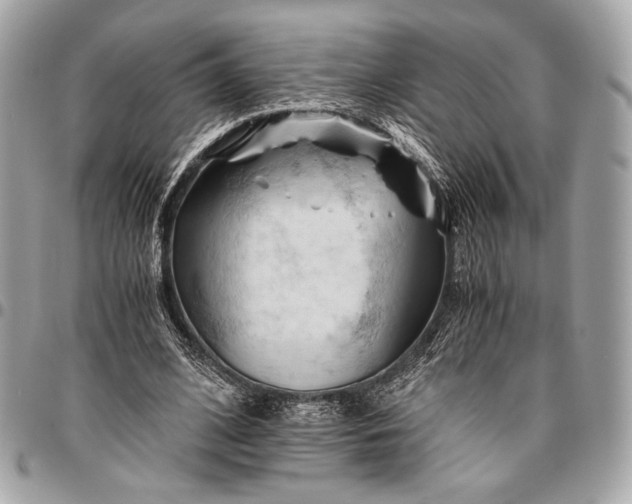 X0000096440584200802071750