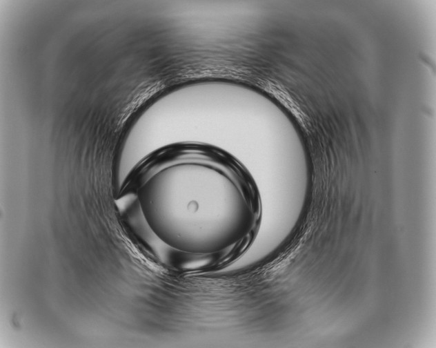 X0000096440585200802071750