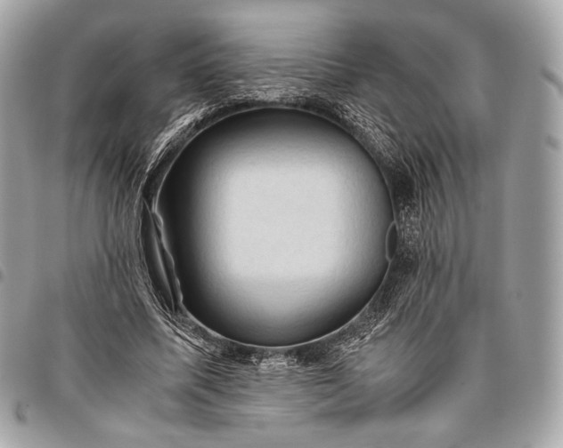 X0000096440587200802071750