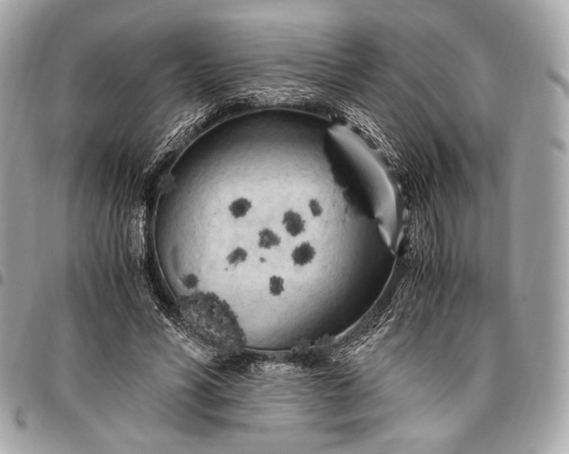 X0000096440590200802071750