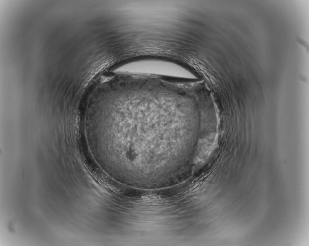 X0000096440591200802071750