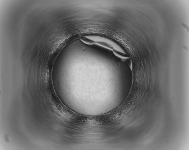 X0000096440592200802071750