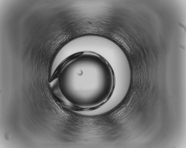 X0000096440593200802071750