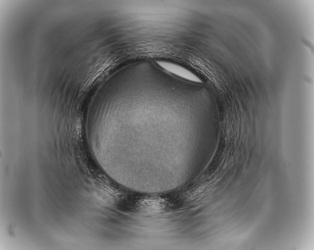 X0000096440595200802071750