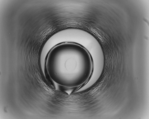 X0000096440597200802071750