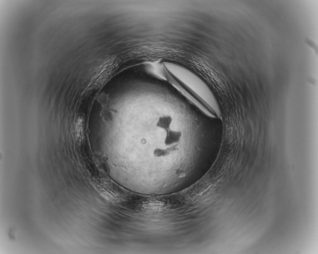 X0000096440598200802071750