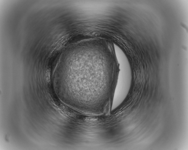 X0000096440602200802071750