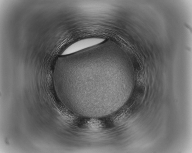 X0000096440603200802071750