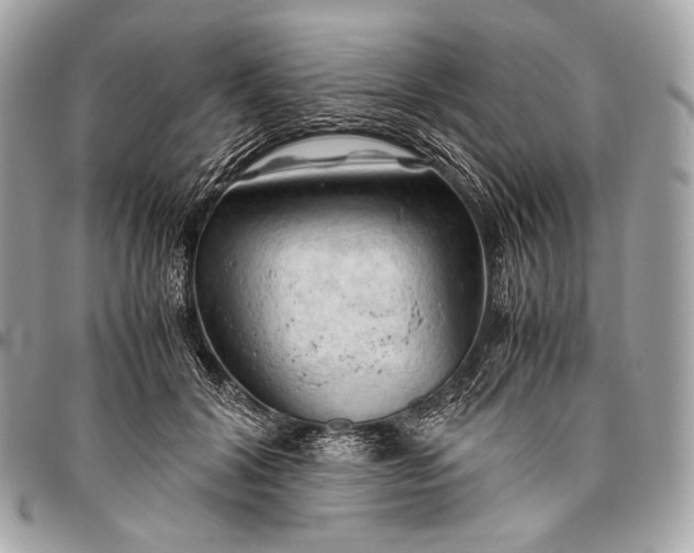 X0000096440604200802071750