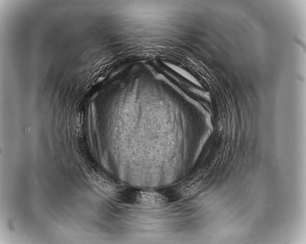 X0000096440605200802071750