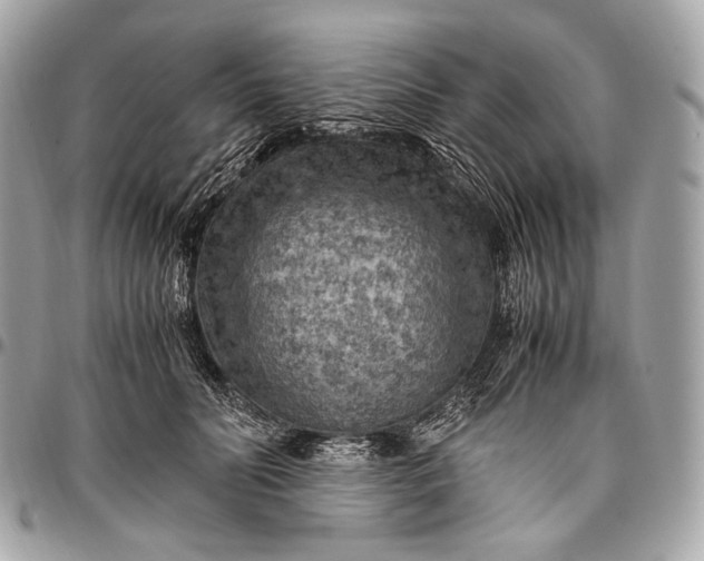 X0000096440606200802071750