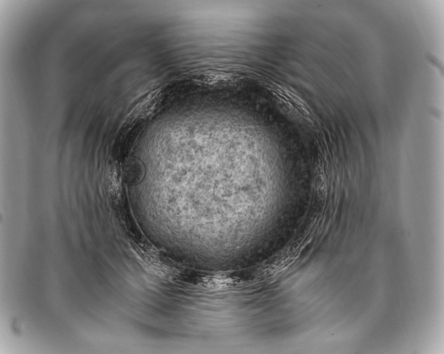 X0000096440607200802071750