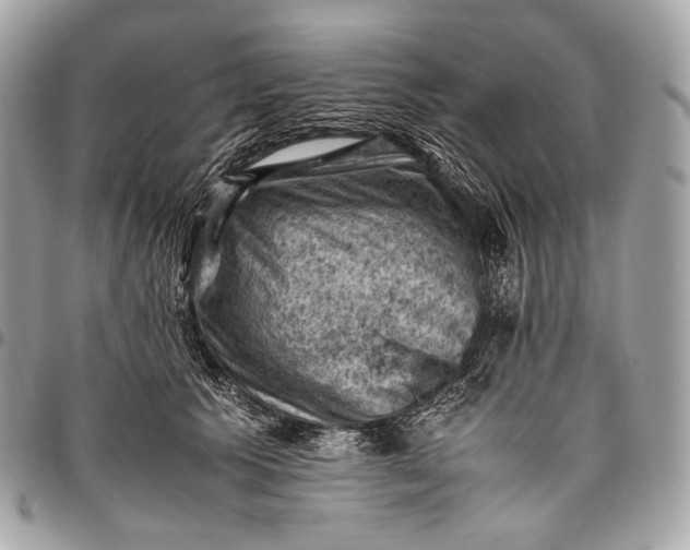 X0000096440609200802071750