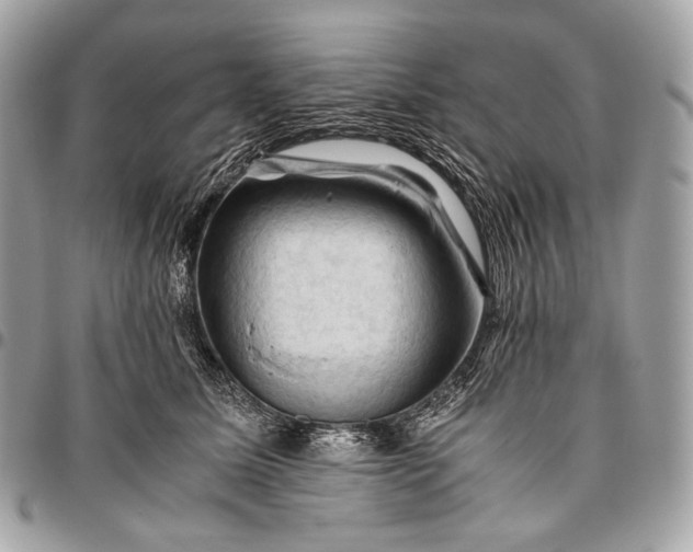 X0000096440611200802071750