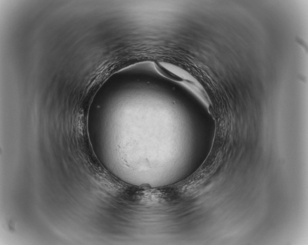 X0000096440612200802071750