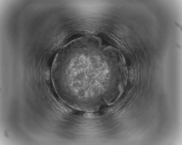 X0000096440613200802071750