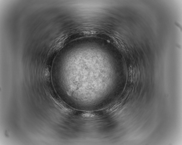 X0000096440614200802071750