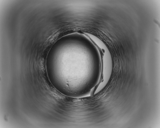 X0000096440616200802071750