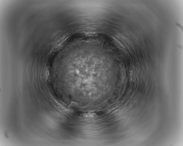 X0000096440618200802071750