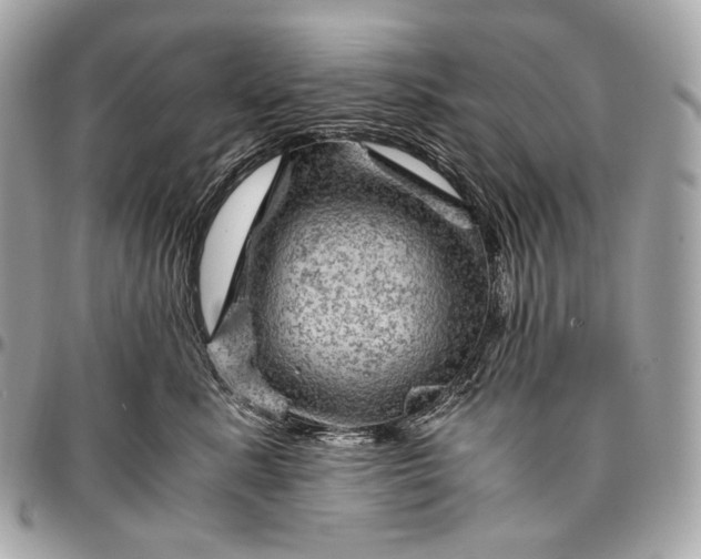 X0000096440619200802071750