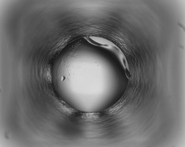 X0000096440622200802071749