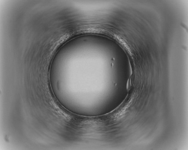 X0000096440625200802071749