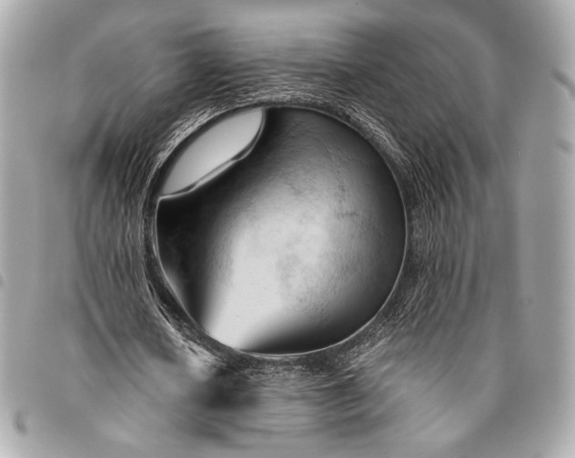 X0000096440626200802071749