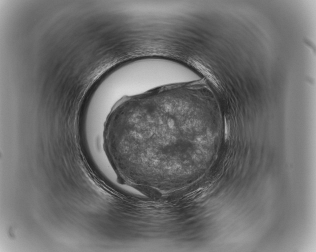 X0000096440627200802071749