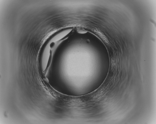 X0000096440628200802071749