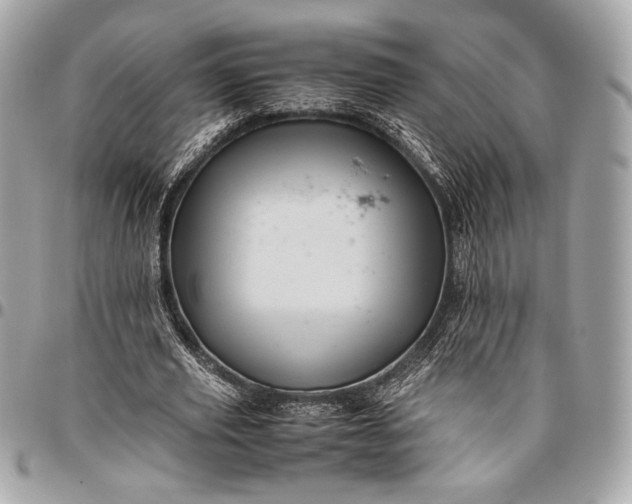 X0000096440629200802071749