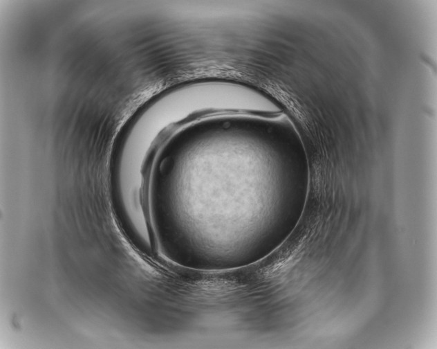 X0000096440630200802071749