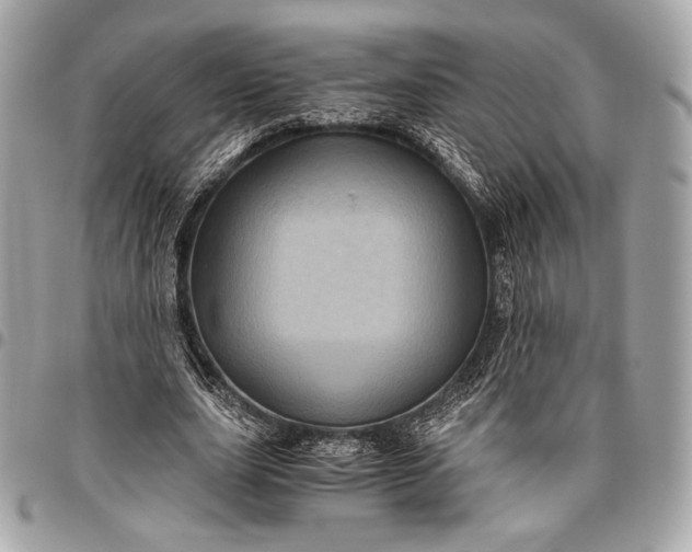 X0000096440631200802071749