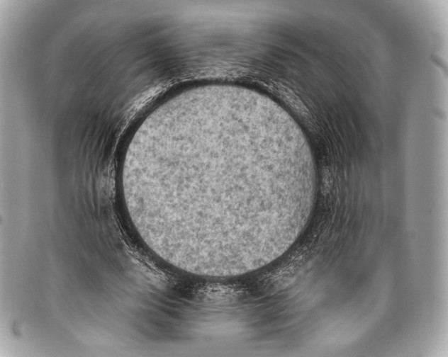 X0000096440632200802071749