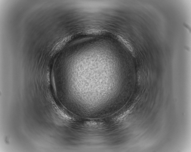 X0000096440633200802071749