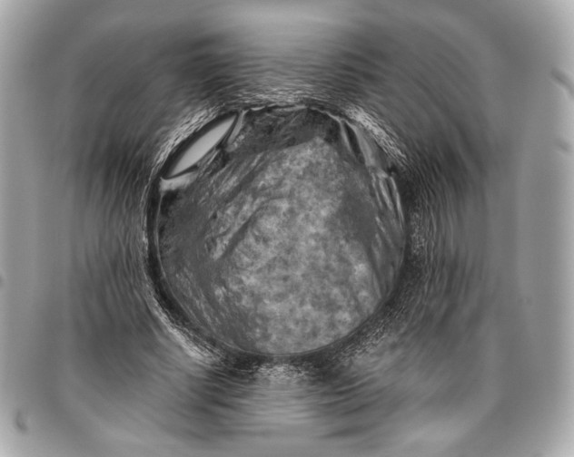 X0000096440634200802071749