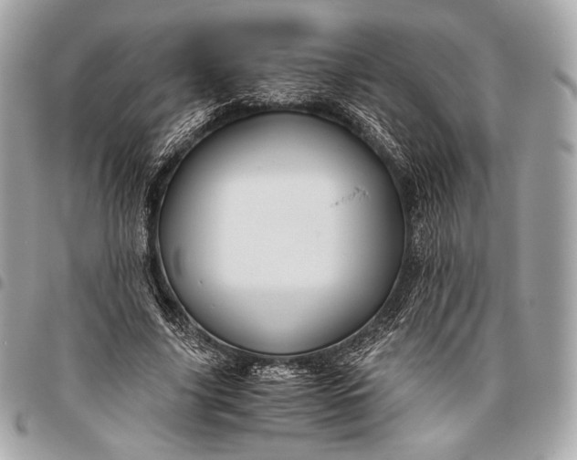 X0000096440635200802071749