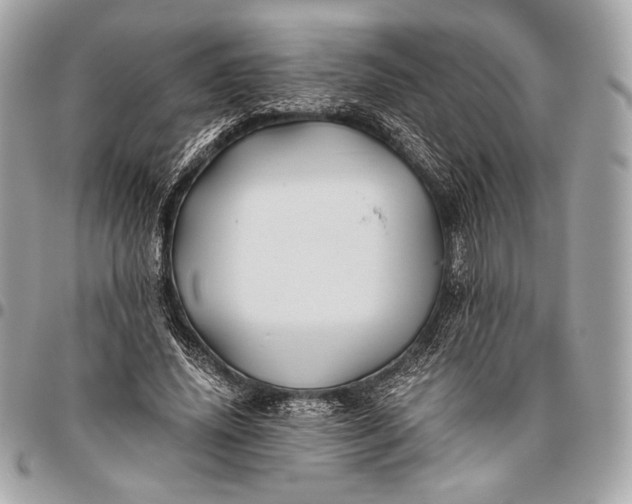 X0000096440636200802071749