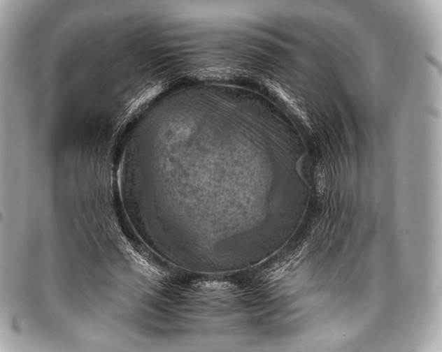 X0000096440637200802071749